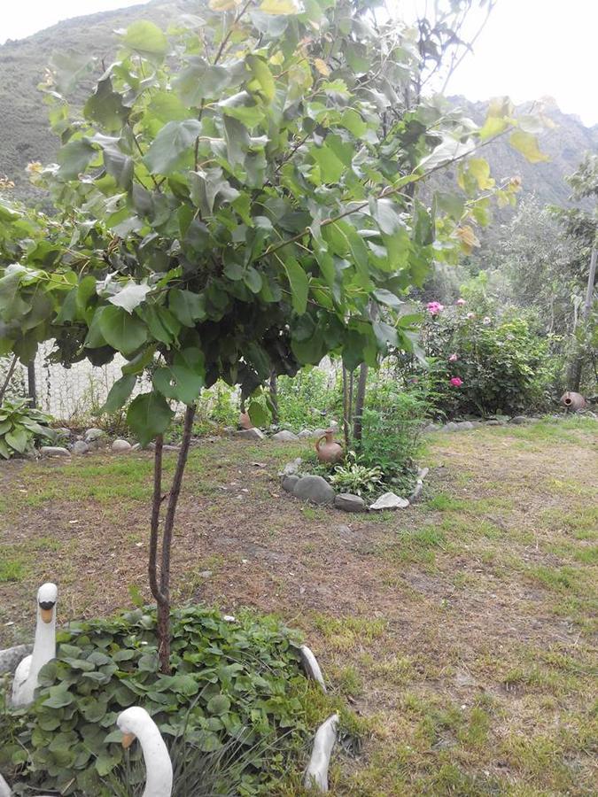 Villa Piano Mtsʼkhetʼa Dış mekan fotoğraf